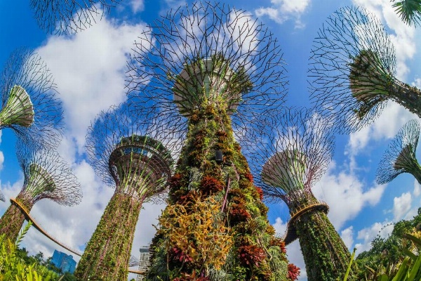 Grand Hyatt Singapore image 23